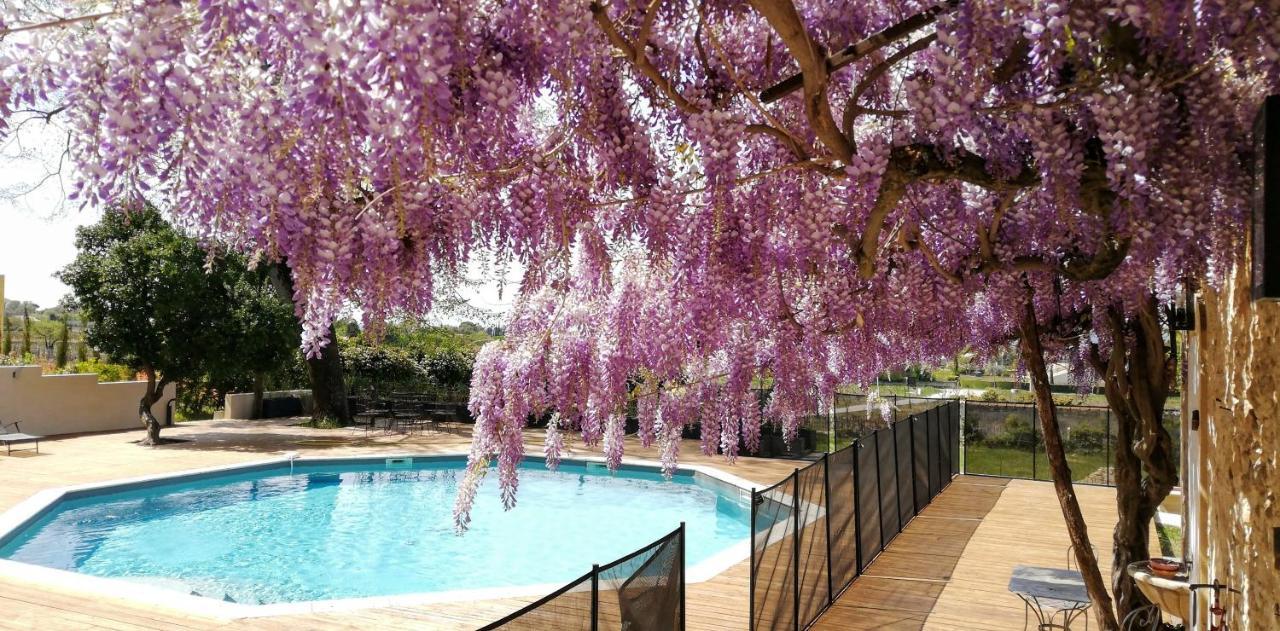 Château MontPlaisir charming b&b in Provence Valréas Exterior foto